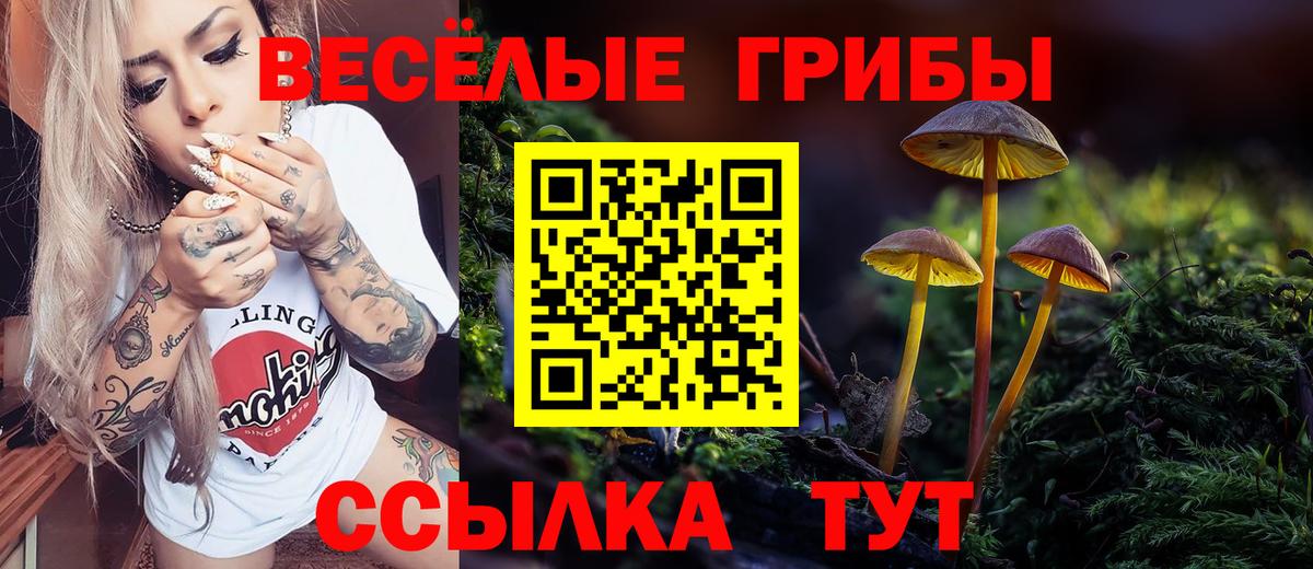 купить наркотик  Псилоцибиновые грибы мухоморы  Вход с VPN  Новоуральск 