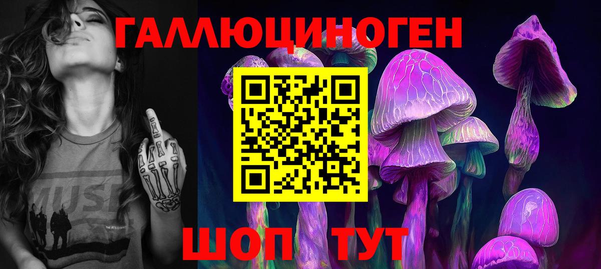 Псилоцибиновые грибы GOLDEN TEACHER Новоуральск